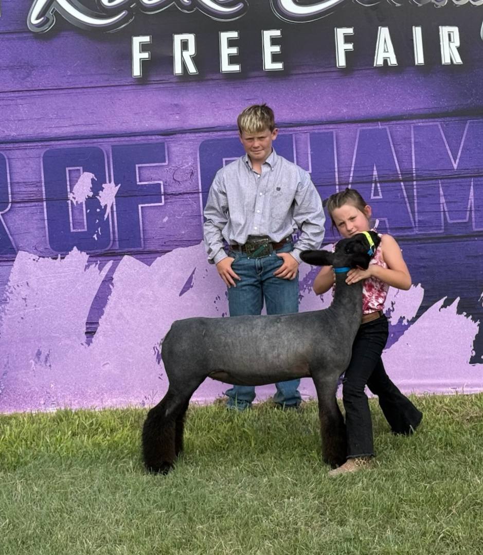 Rookstool Club Lambs added a new photo. - Rookstool Club Lambs
