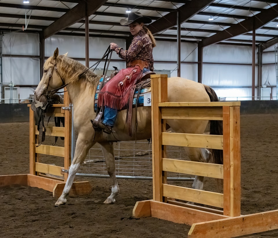 KT Mountain Ranch... - KT Mountain Ranch Quarter Horses