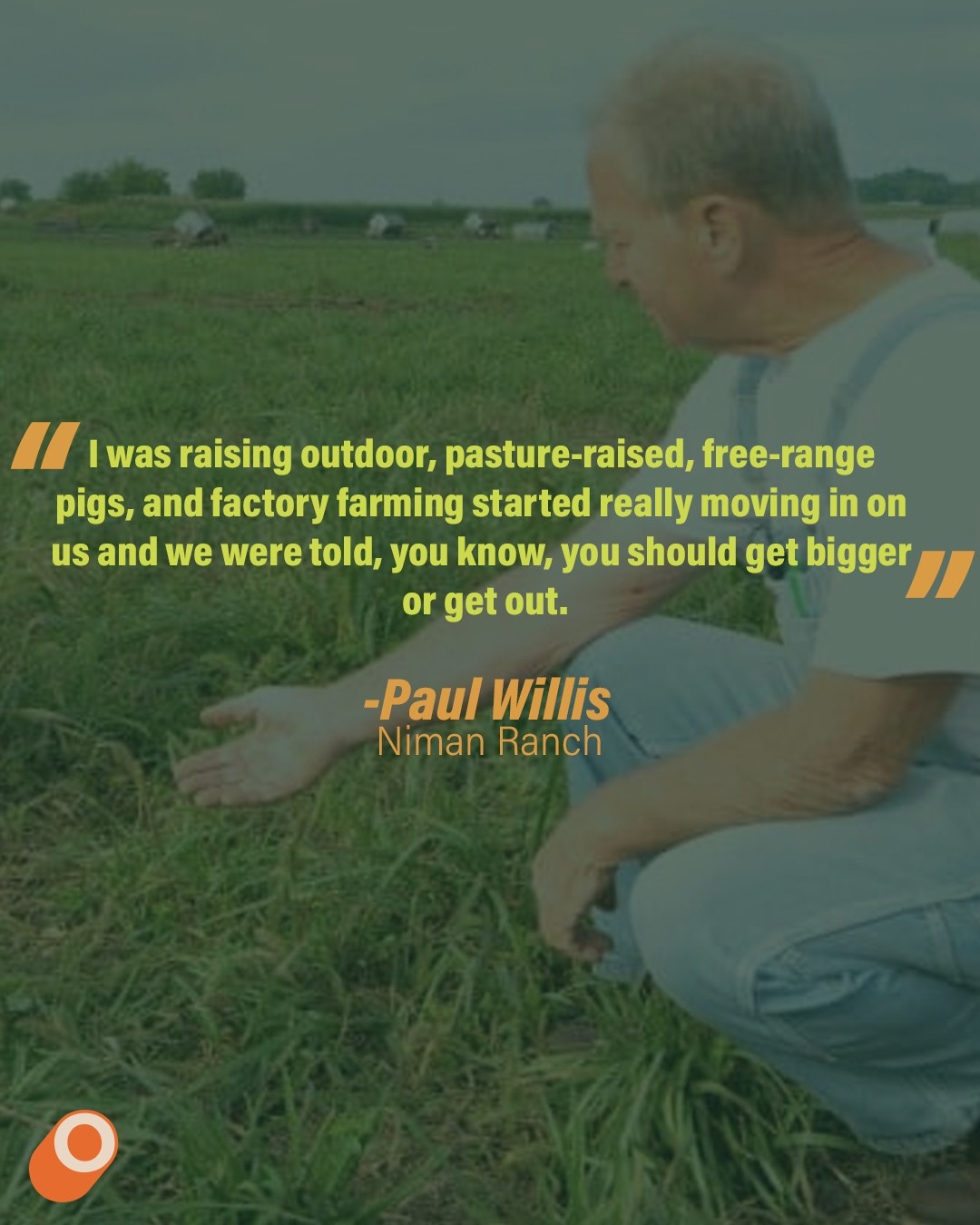 The Outpost - Paul Willis of @nimanranch on the origins of Niman Ranch ...