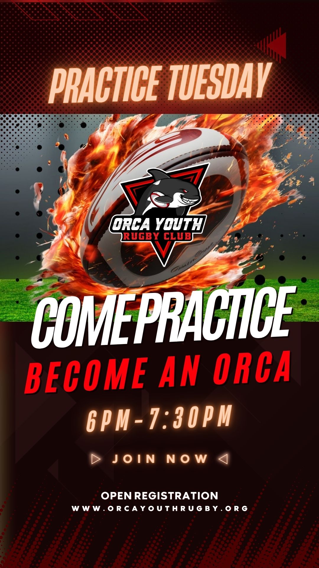 Orca Youth Rugby Club