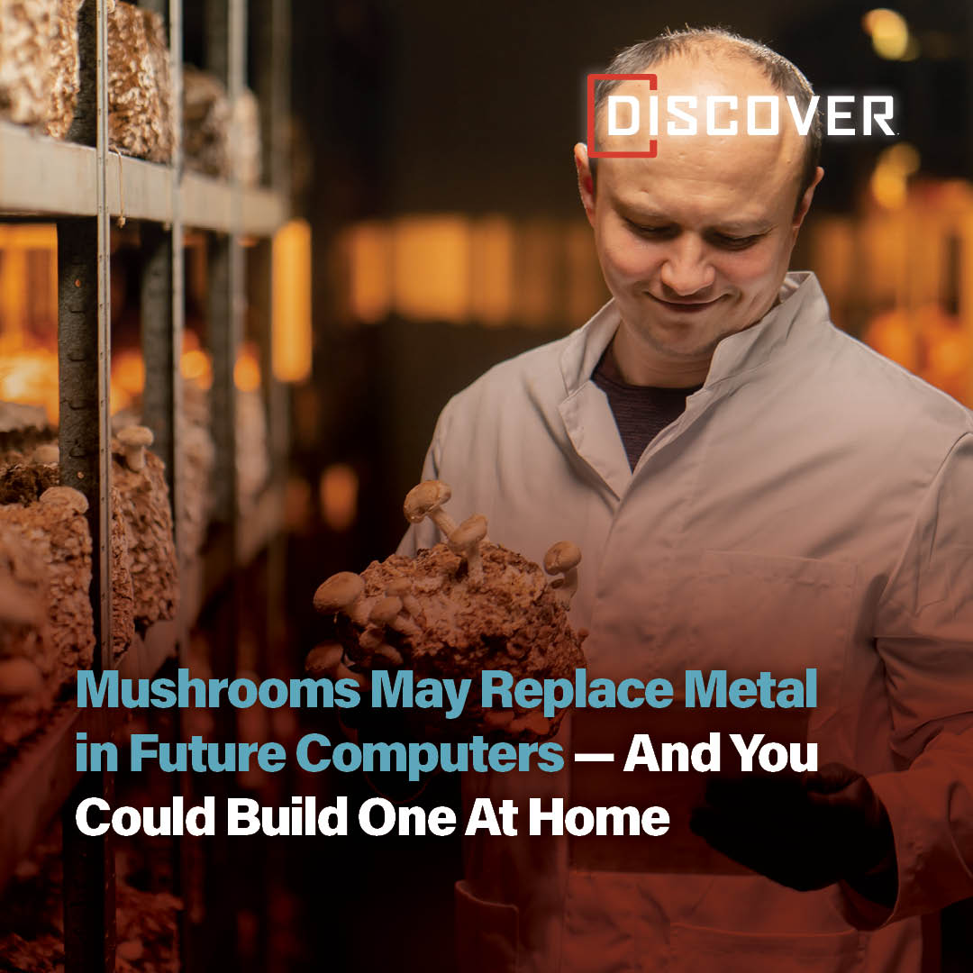 Discover - Learn how scientists found a way to turn mushrooms into ...