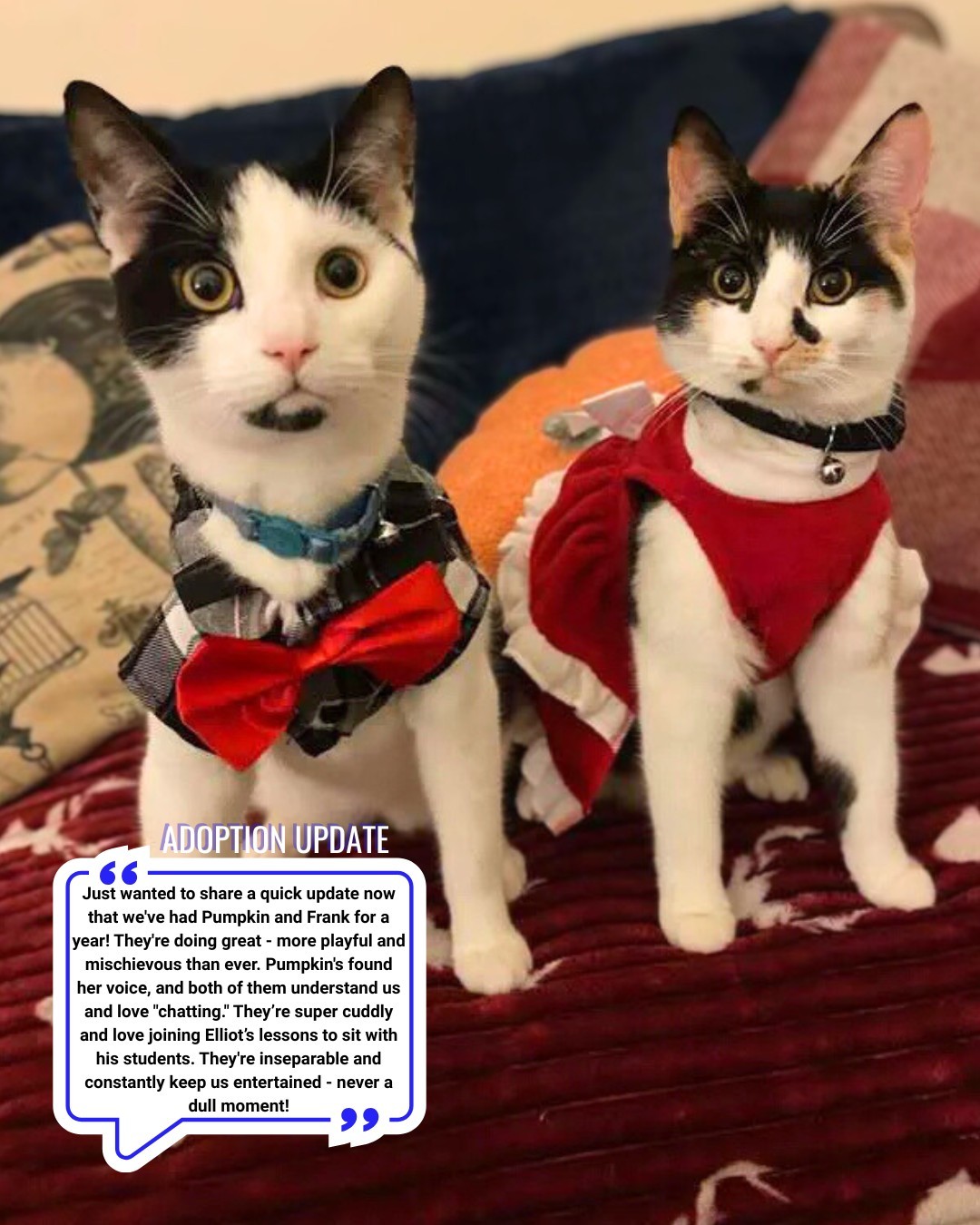 W... - RSPCA Halifax, Huddersfield, Bradford & District Branch | Facebook