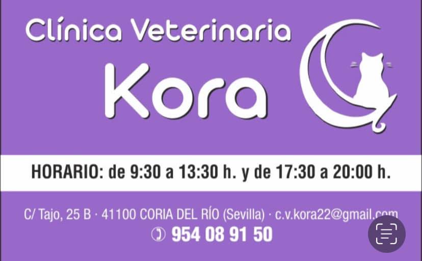 clinica_veterinaria_kora | Coria del Río