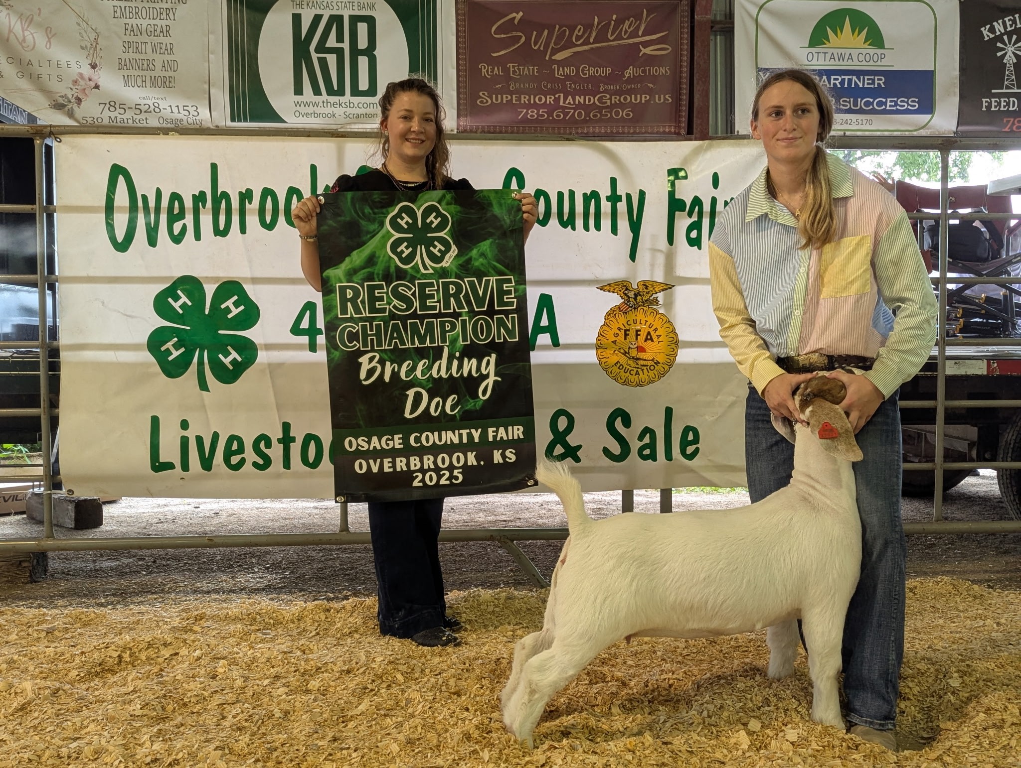 Rookstool Club Lambs added a new photo. - Rookstool Club Lambs