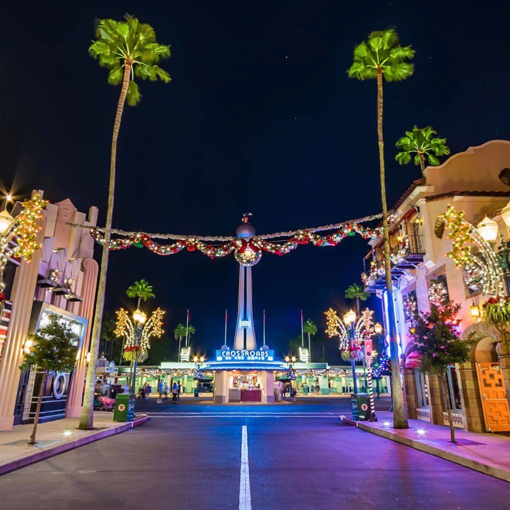 WDW Shutterbug