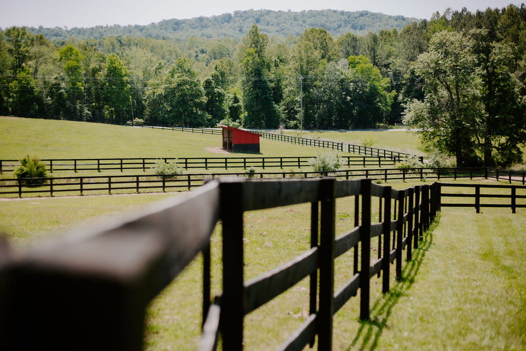 Cannon Ridge Farm | Afton VA