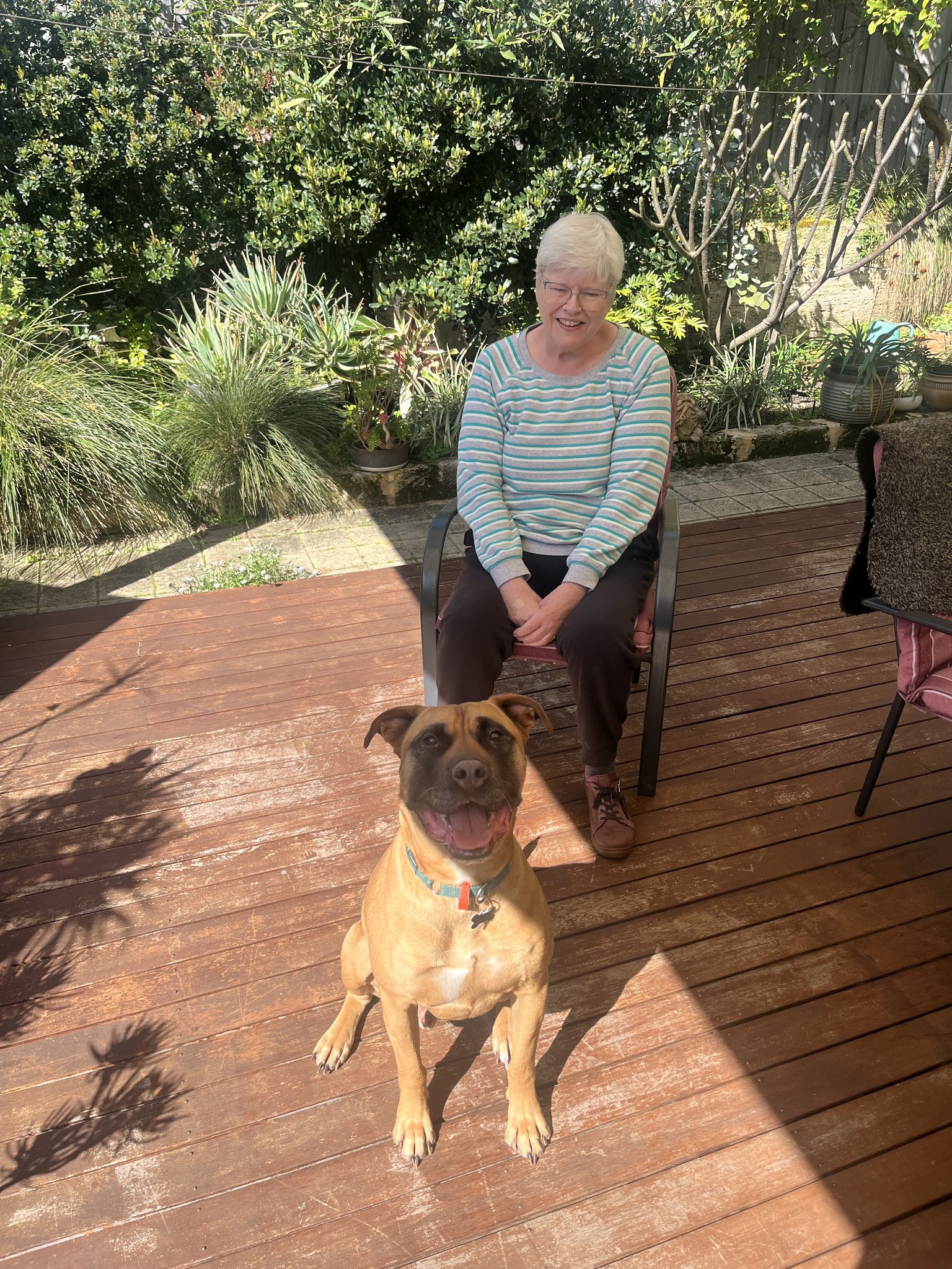 Dogs' Refuge Home WA INC added... - Dogs' Refuge Home WA INC