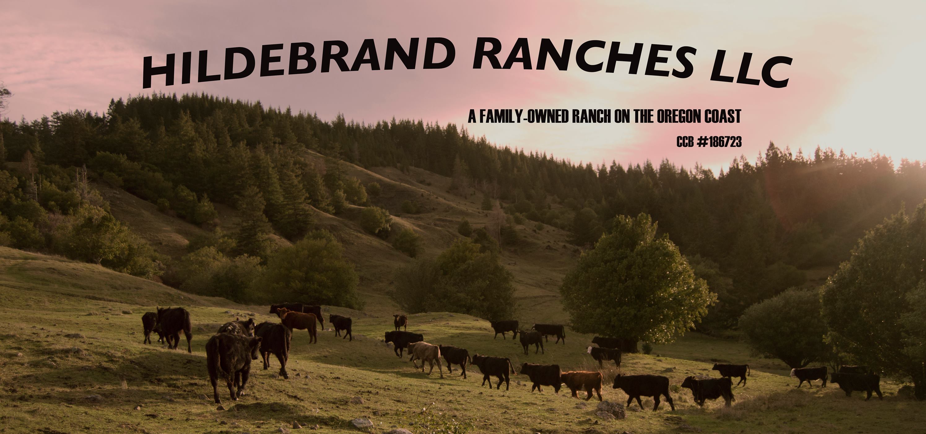 Hildebrand Ranches LLC - Home