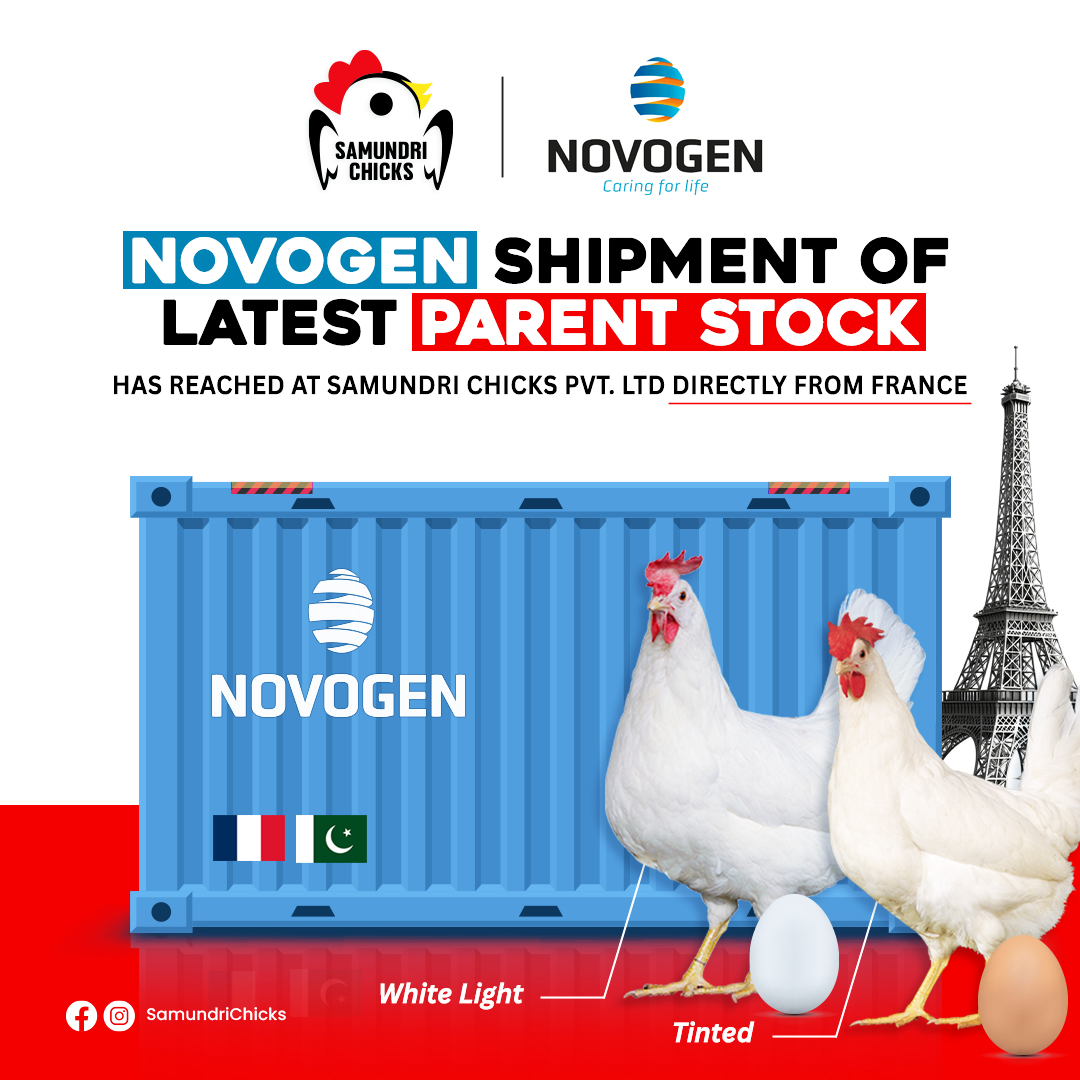 Nafees Feeds - 𝗡𝗢𝗩𝗢𝗚𝗘𝗡 𝗦𝗵𝗶𝗽𝗺𝗲𝗻𝘁 𝗛𝗮𝘀 𝗔𝗿𝗿𝗶𝘃𝗲𝗱 𝗙𝗿𝗼𝗺 𝗙𝗿𝗮𝗻𝗰𝗲!... | Facebook