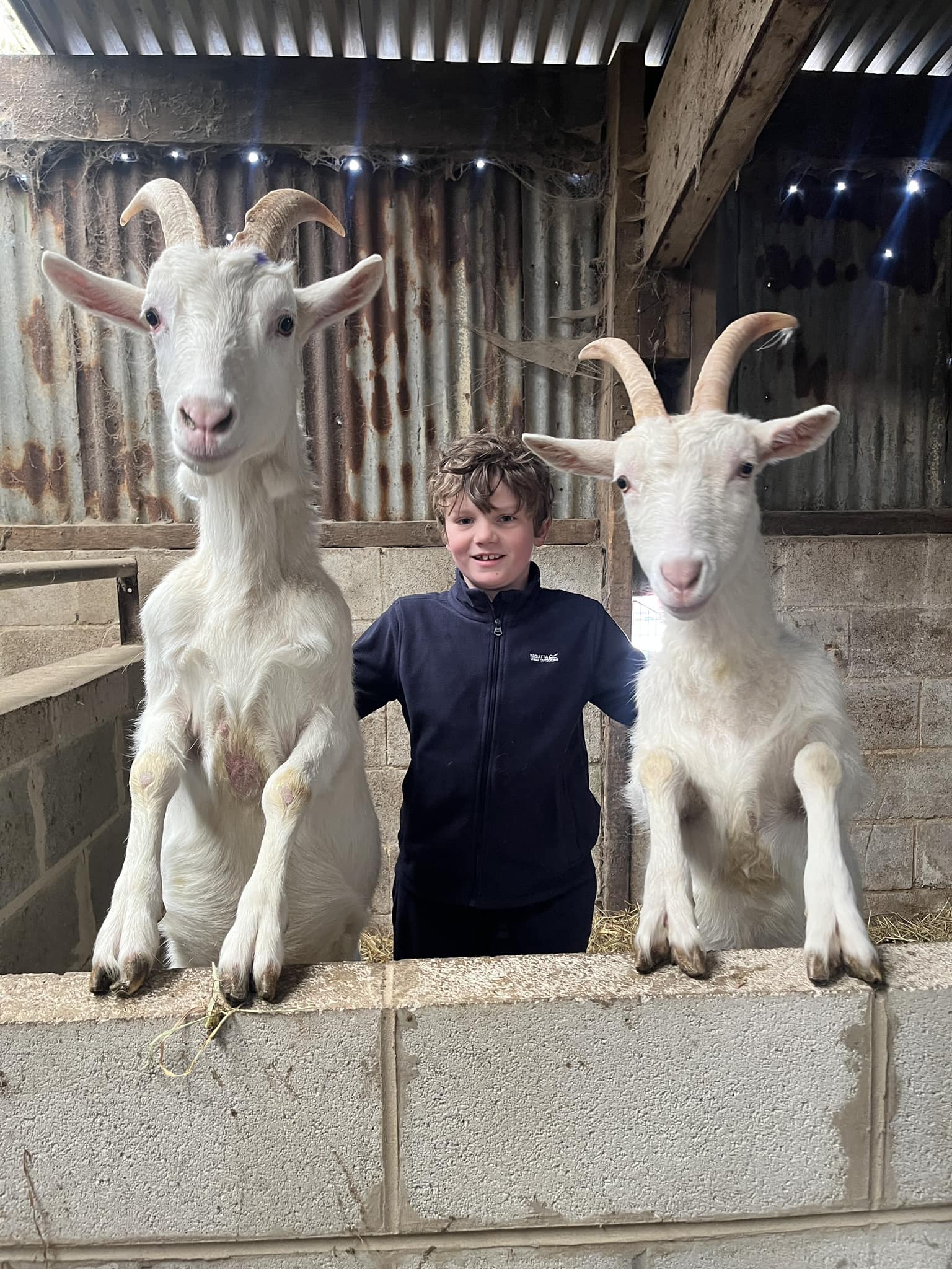 Handley Farm Family | Belper