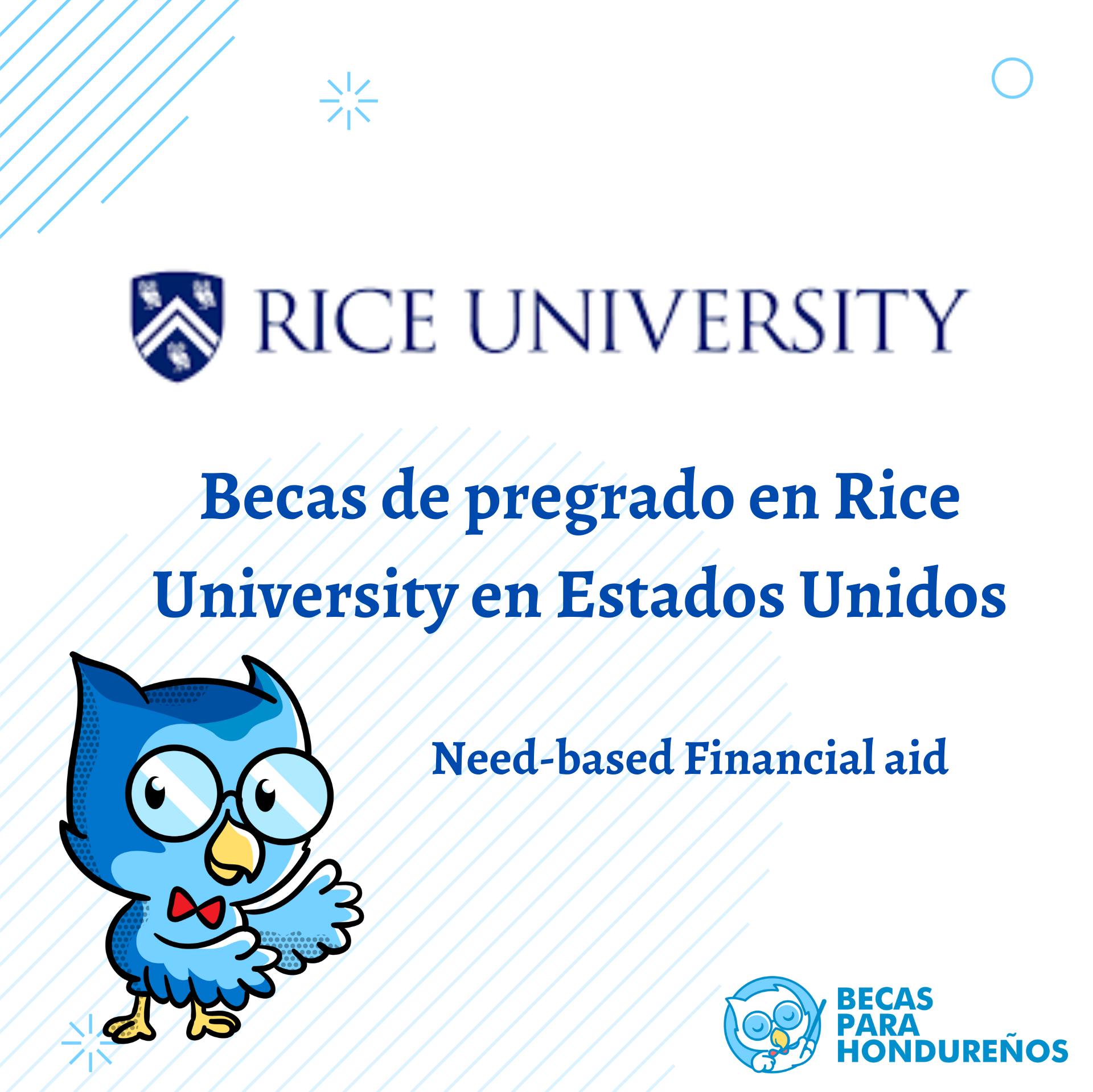 Becas - Becas de pregrado en Rice University en Estados Unidos Need ...