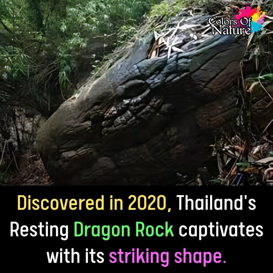 Colors - In 2020, a fascinating natural formation called Resting Dragon ...