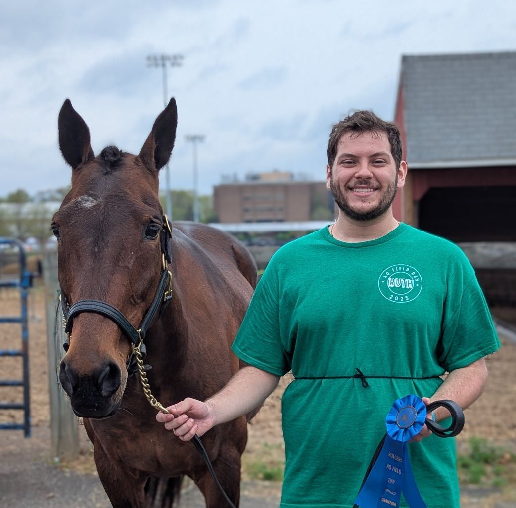 Rutgers - Introducing our second Foster Horse of the Day!! Rakete aka ...