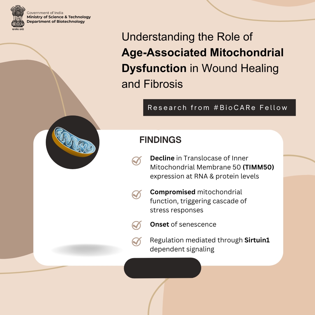 josh mitteldorf glutathione Research from Dr. Amrita Nepalia, our #BioCARe fellow show #TIMM50 as a key regulator of mitochondrial health and cellular aging and demonstrated how stabilising TIMM50 could enhance the treatment of diseases associated واقي شمس غير كوميدوغينيك HAYER Glutathione 1000mg Tablets Size:5 Kilograms (11 lbs)