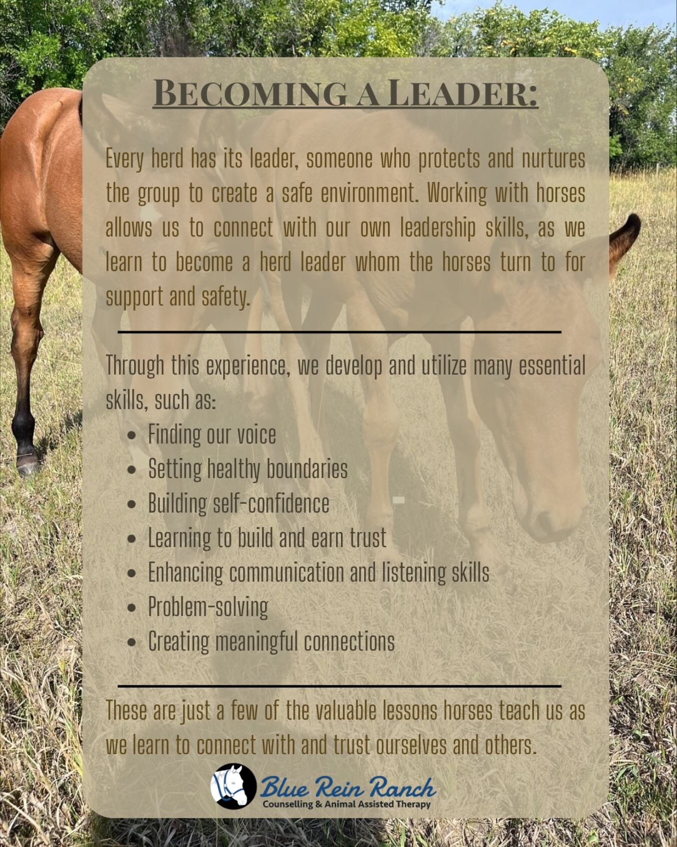 Blue Rein Ranch Counselling & Animal Assisted Therapy | Fort Macleod AB