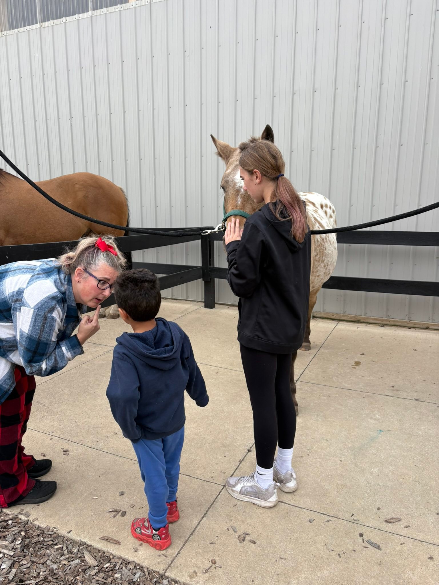H.U.G.S. Ranch | Byron Center MI