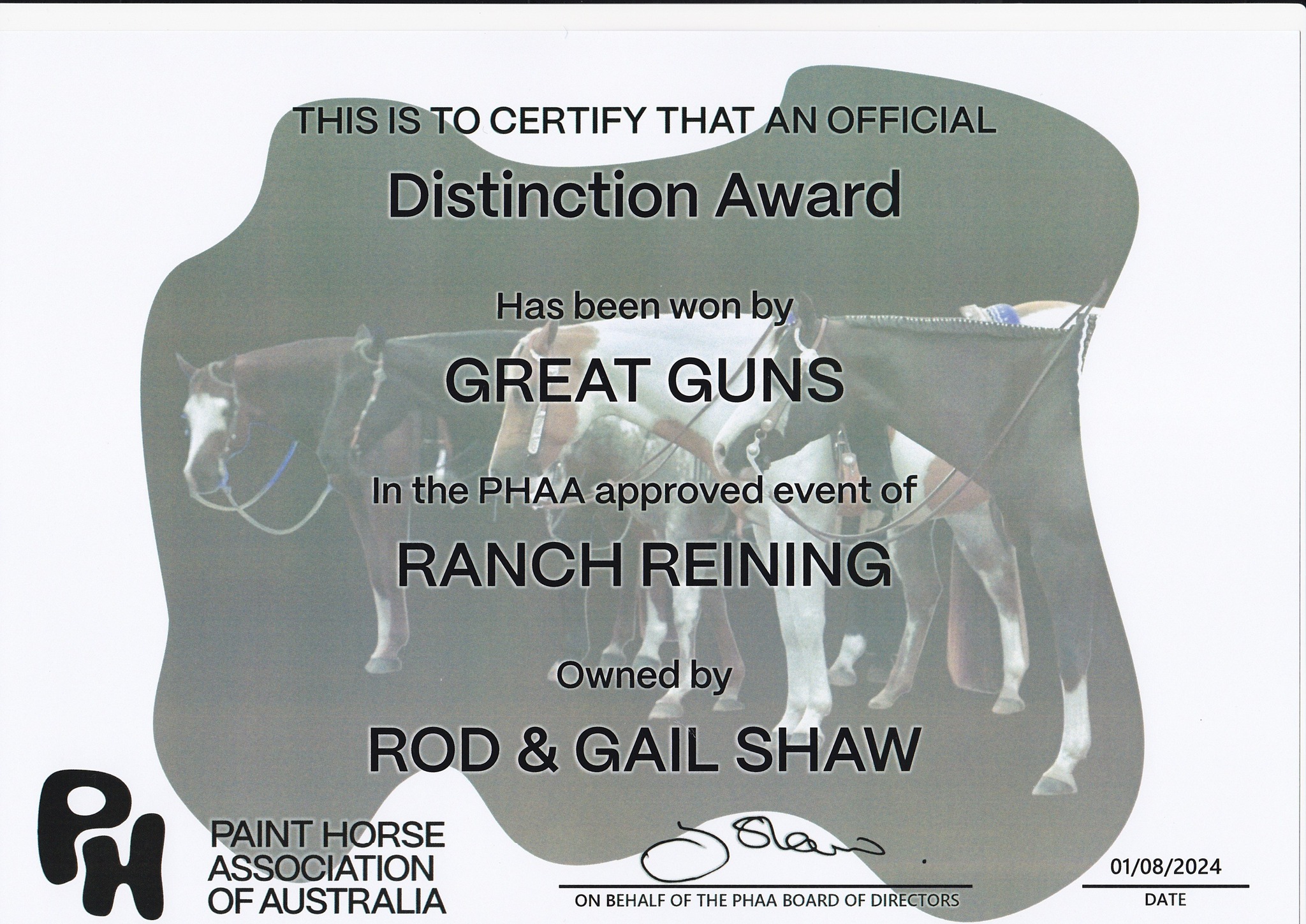 Paint Horse Association of Australia | Facebook