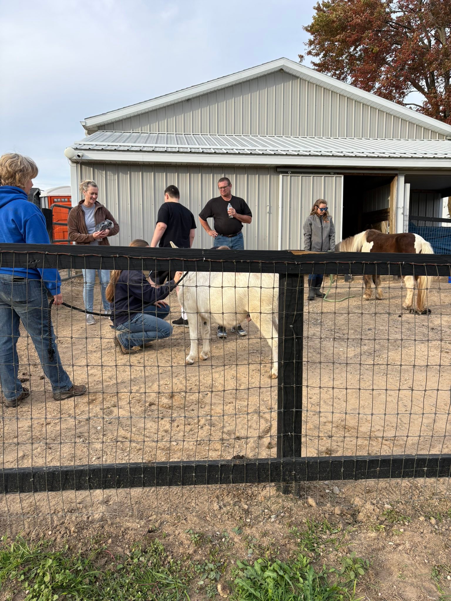 H.U.G.S. Ranch | Byron Center MI