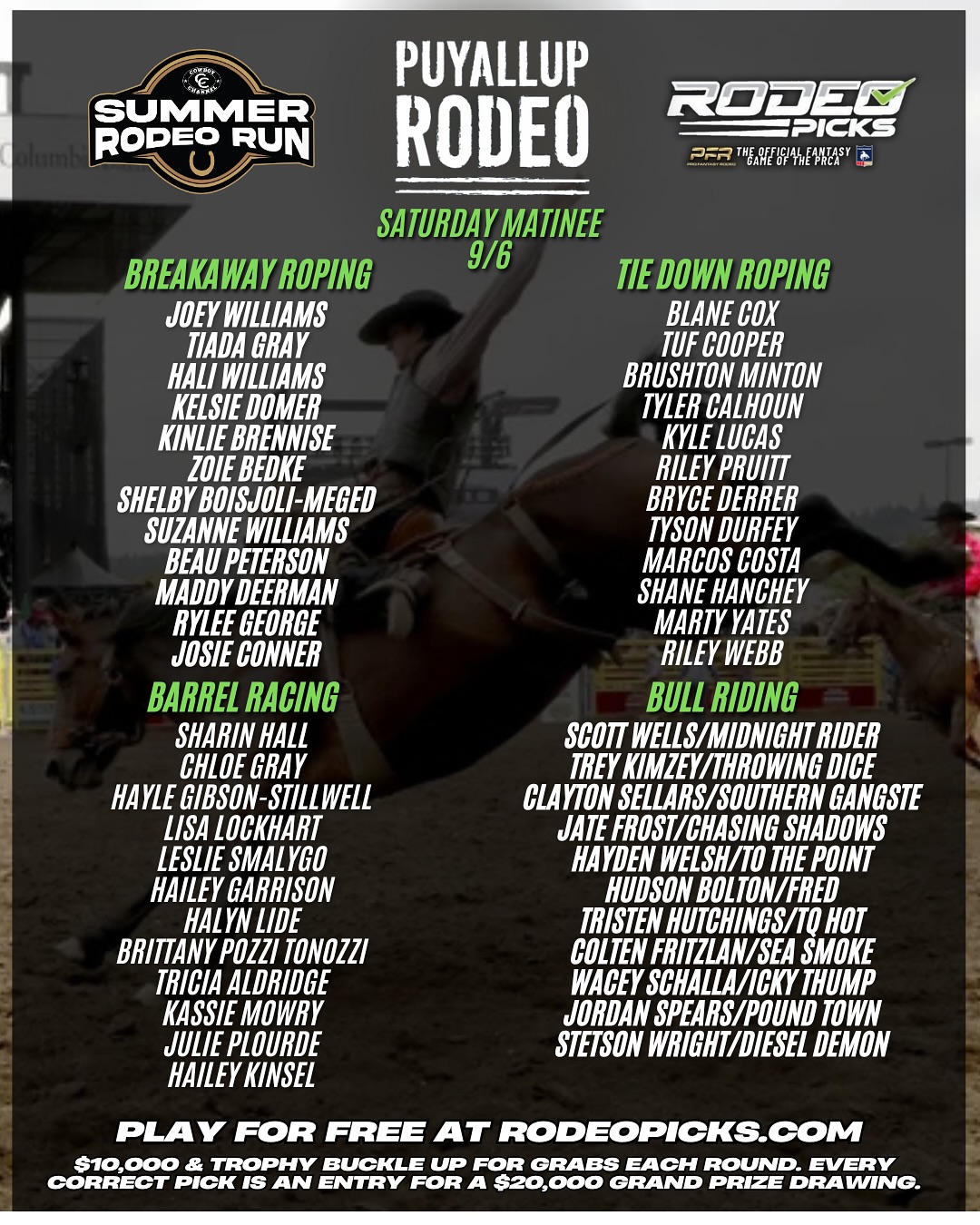 Pro Fantasy Rodeo