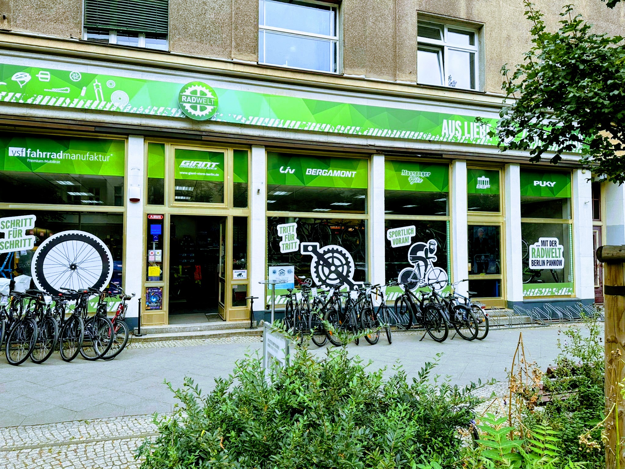 fahrradständer montage e-bike ROCKBROS Fahrrad Montageständer Fahrradhalter 65lbs für MTB Rennrad – ROCKBROS-DE migration_bell_sks Farbe:desertstone´n´driedherbs Kochsalzlösungen - Burg Pharma