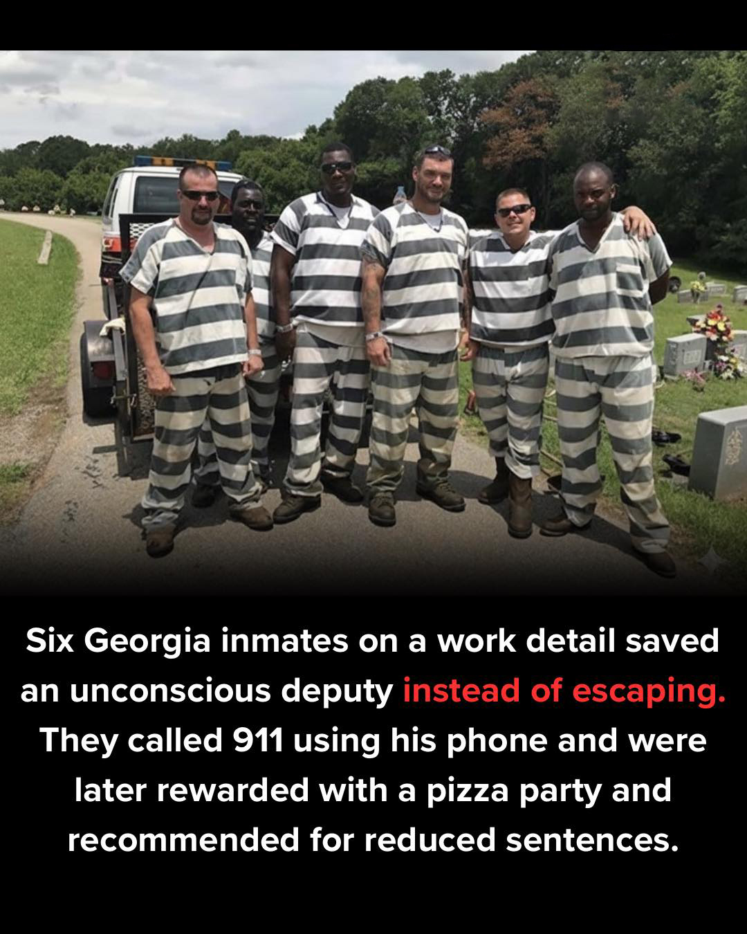 Cartel - Six individuals participating in a work assignment in Georgia ...