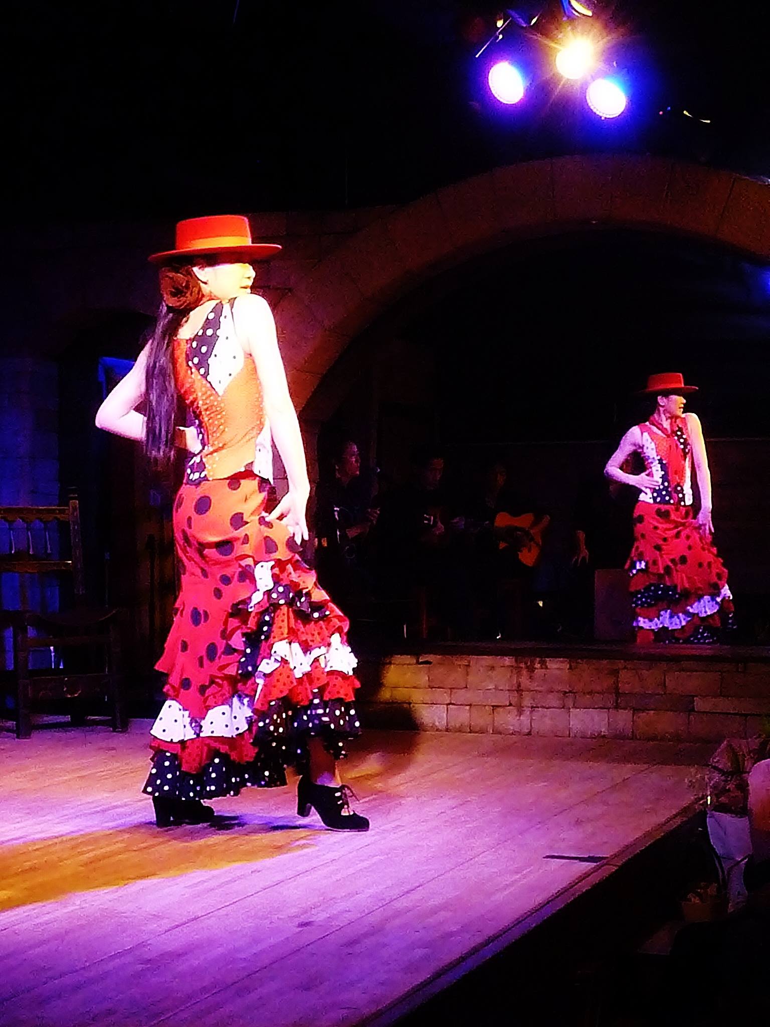 Muse Flamenca（ﾐｭｰｽﾞﾌﾗﾒﾝｶ） | Komae Tokyo