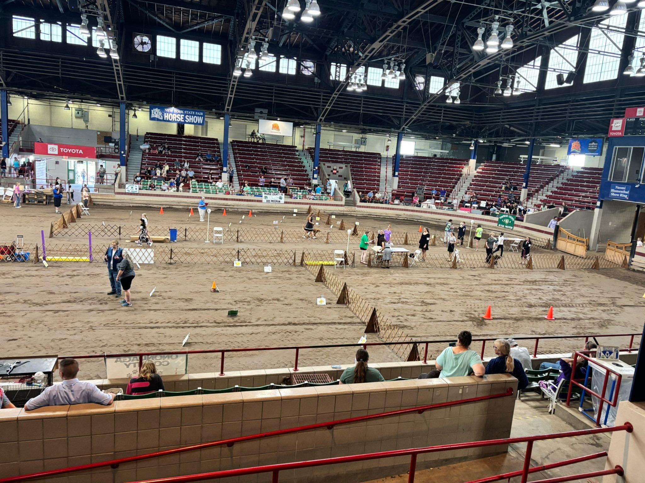 NYS4Hdogs