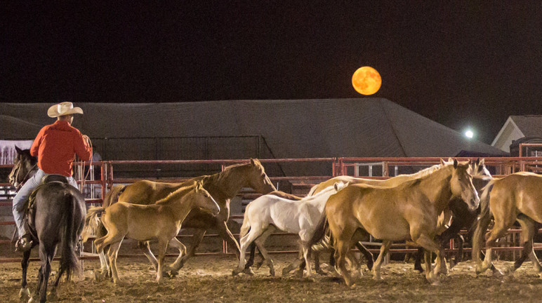 Rifle Rodeo Association