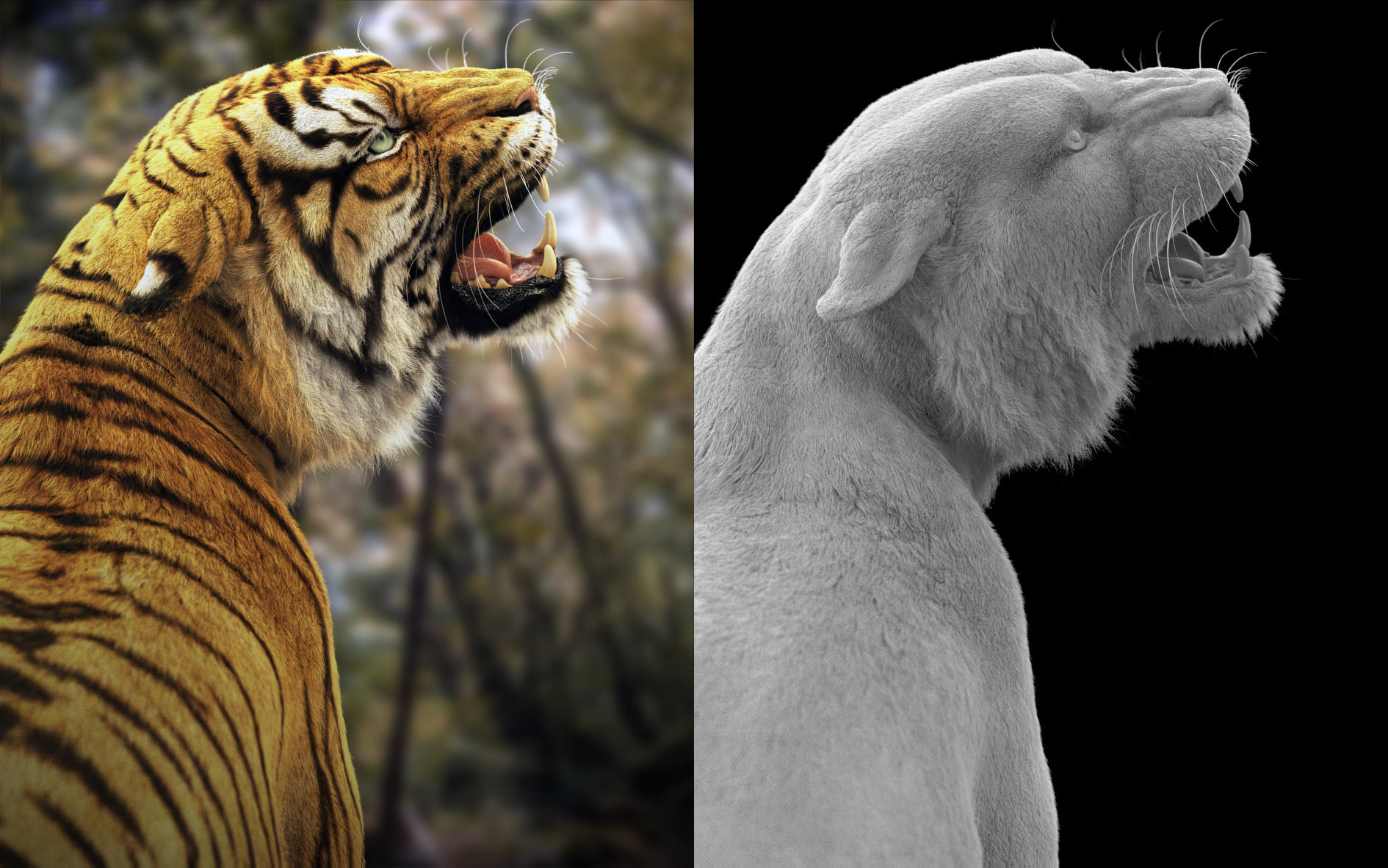The Complete Guide to Photorealism