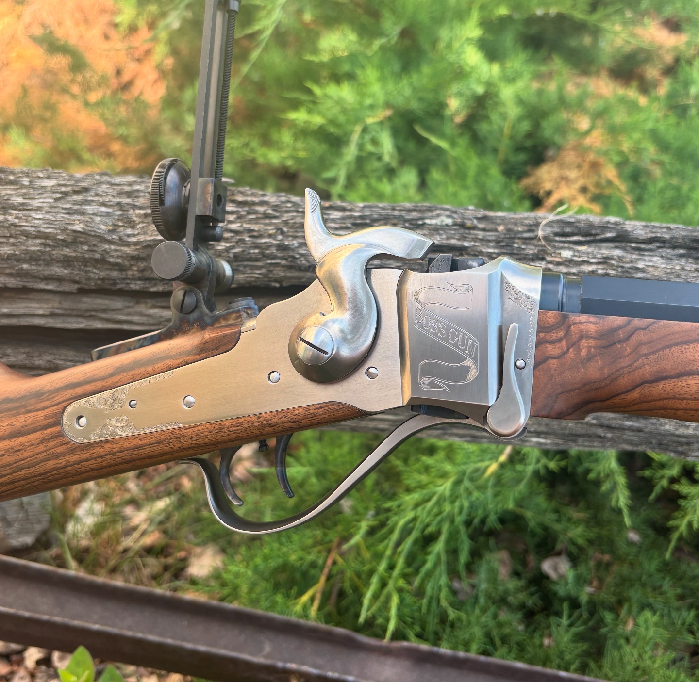 C. Sharps - The light of the Big Sky reflected upon the BOSS GUN. # ...