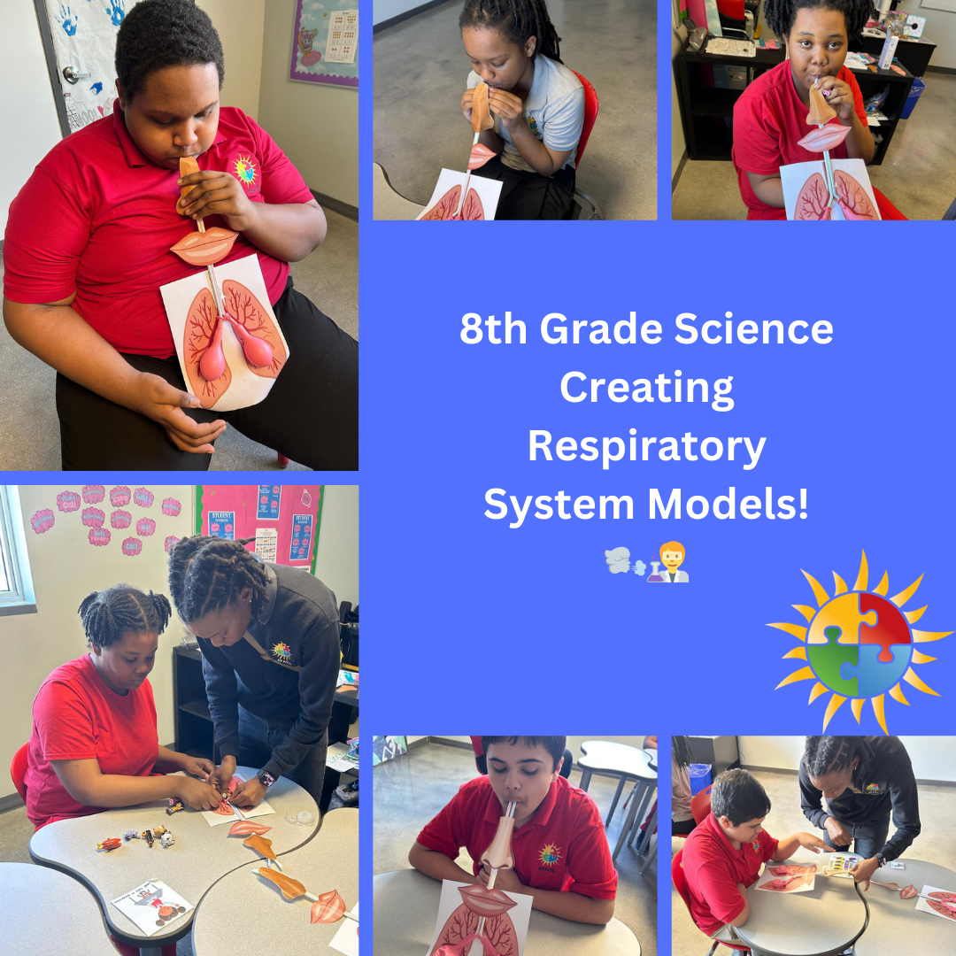 South - 🚶‍♂️💨 8th grade is diving deep into the respiratory system in ...