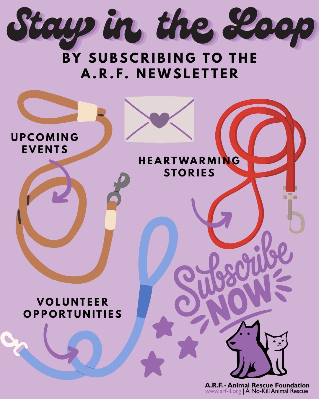 🌟 Stay in the loop with... - ARF - Animal Rescue Foundation | Facebook