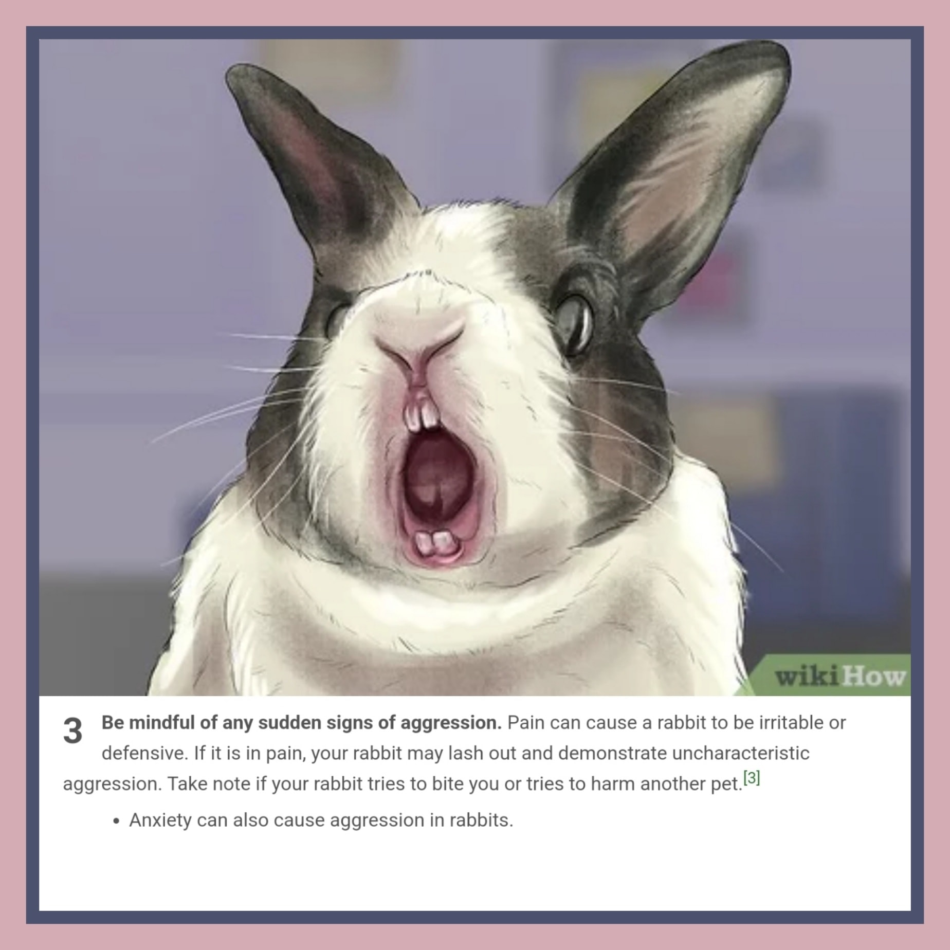 New Jersey House Rabbit Society