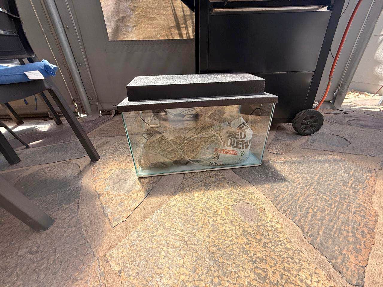 fish tank accessories cape town Easy Maintenance, Self-Cleaning Aquarium Kit | Lid | Waterfall Basin Key Features of the Frutiger Aero Lamp Vibrant Display Fish Supplies for sale in