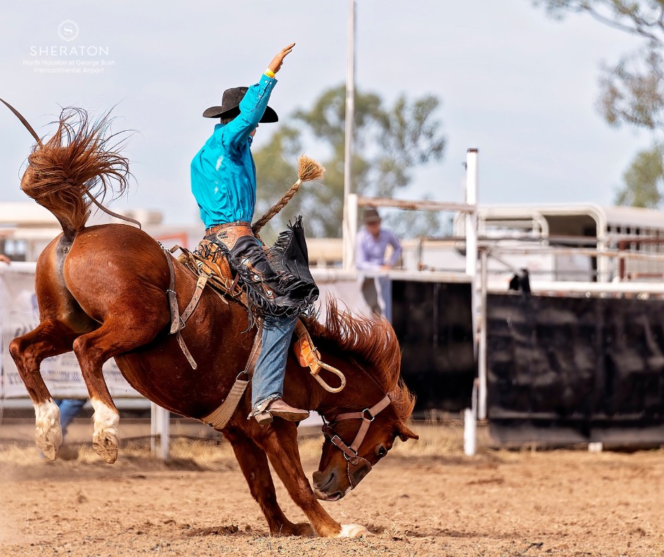 Sheraton - 🤠🐎 Rodeo season is here! Stay close to the action at ...