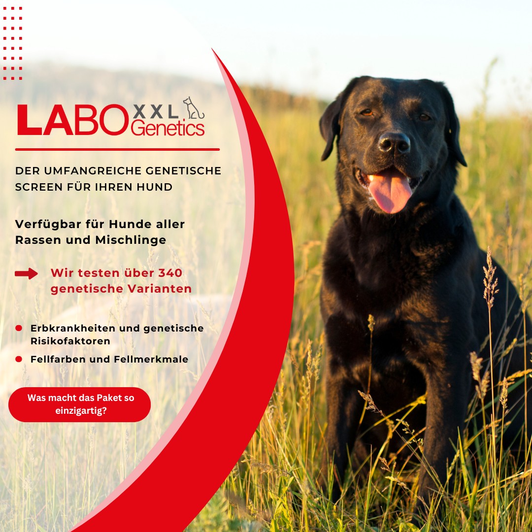 Labogen - Die Genetik... - Labogen - Die Genetik von Laboklin