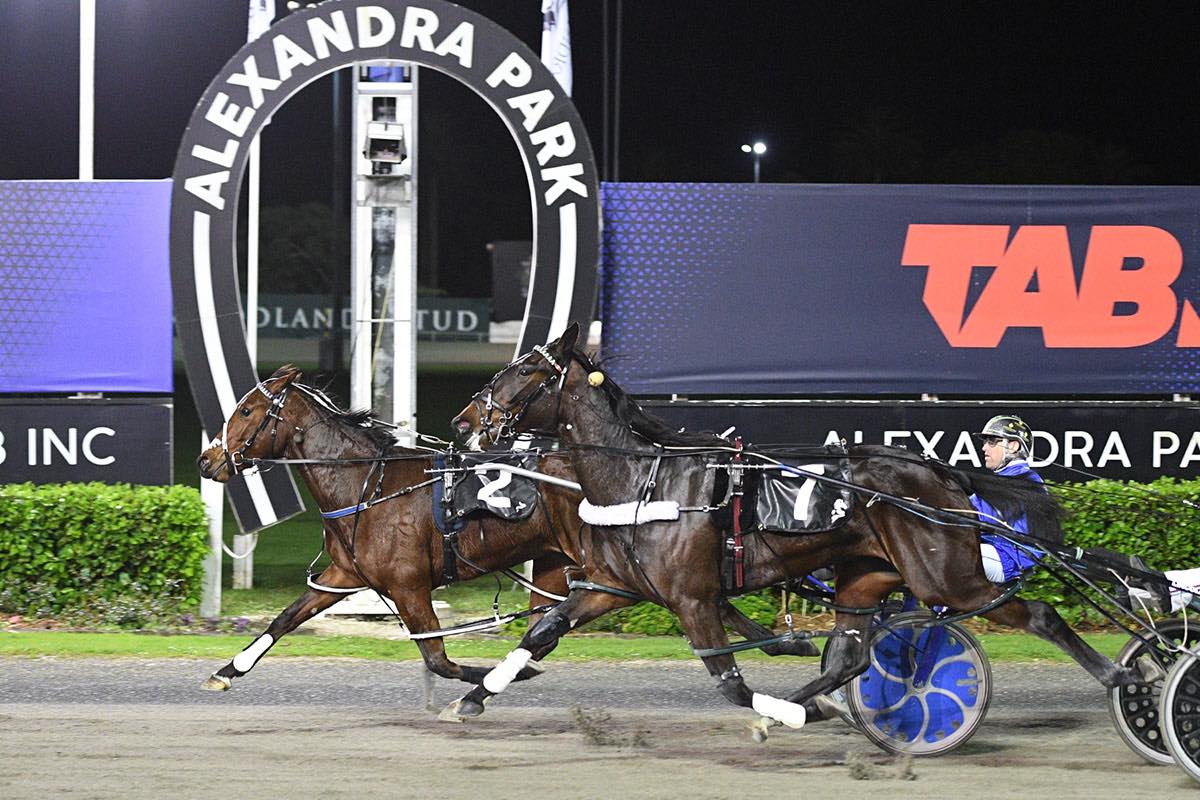 Alexandra Park - A welcome return to Group One racing last... | Facebook