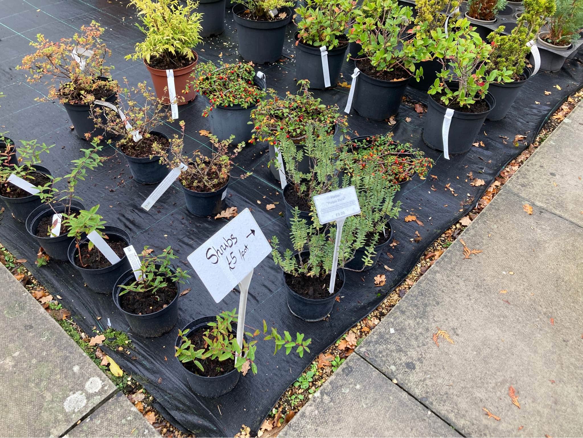 Plant Nursery closing, retiring after serving the community for 31 ...