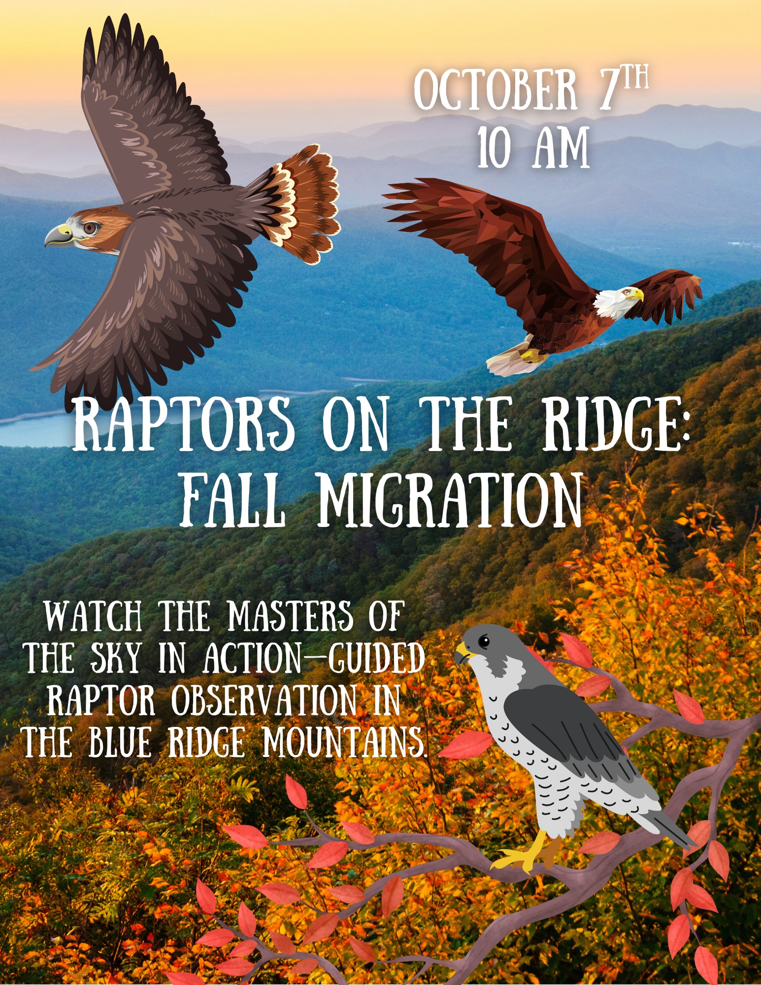 🚨 Can’t-Miss Alert! 🚨... - Haywood County Recreation & Parks | Facebook