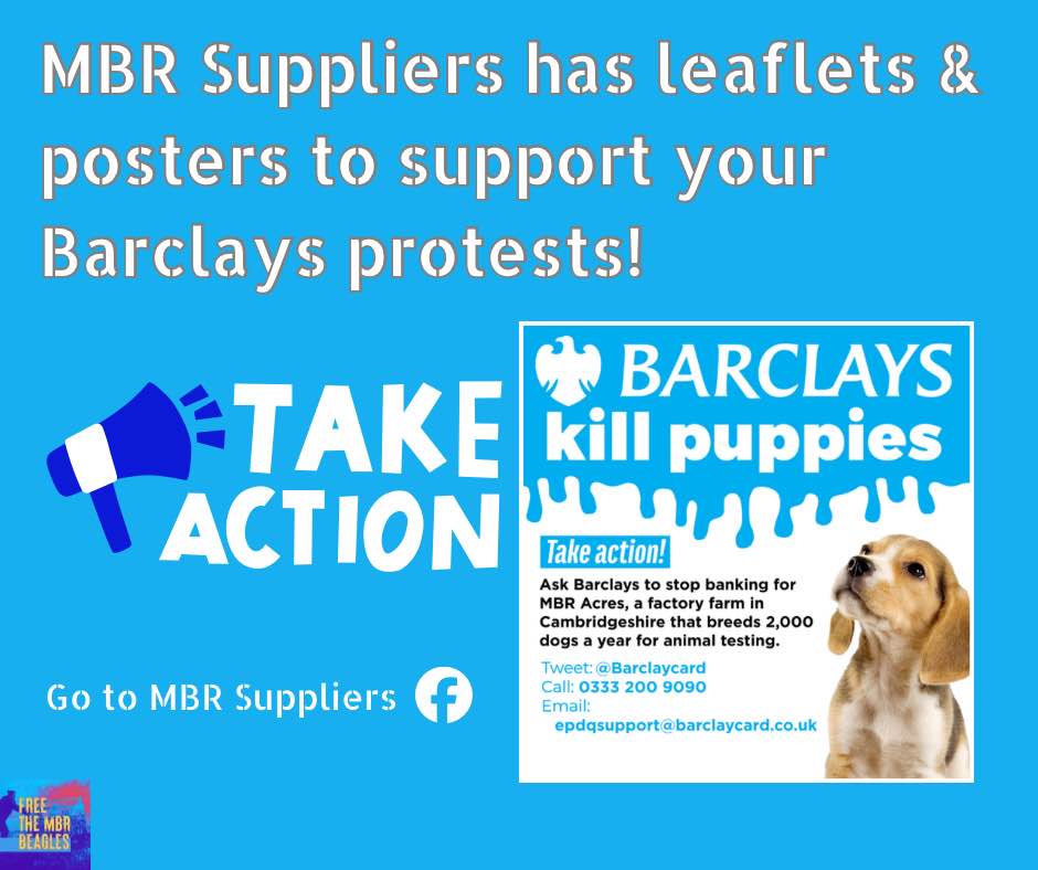 Barclays leaflets, posters, and... - Free The MBR Beagles | Facebook