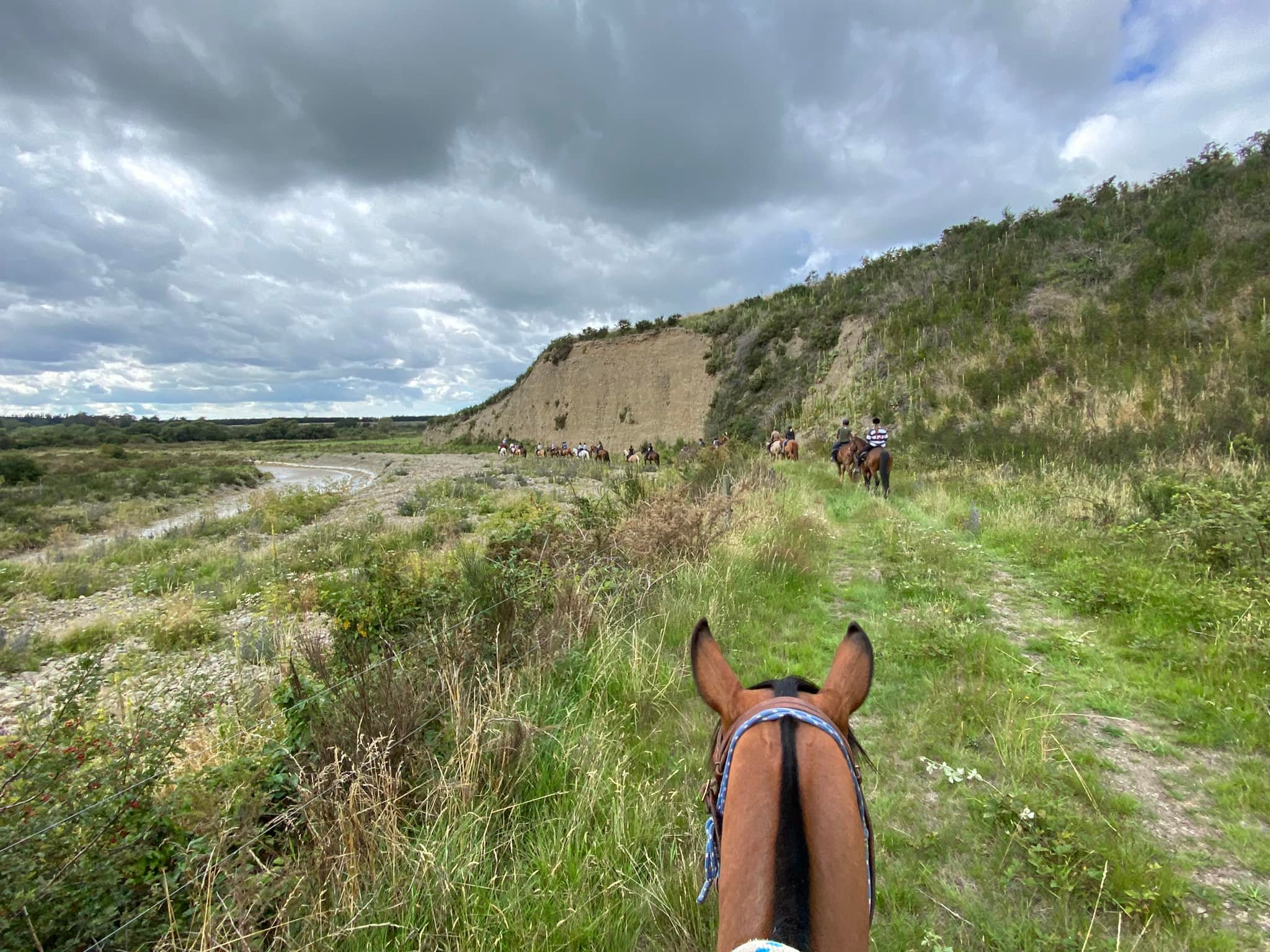 Running M Ranch - New Zealand | Rangiora