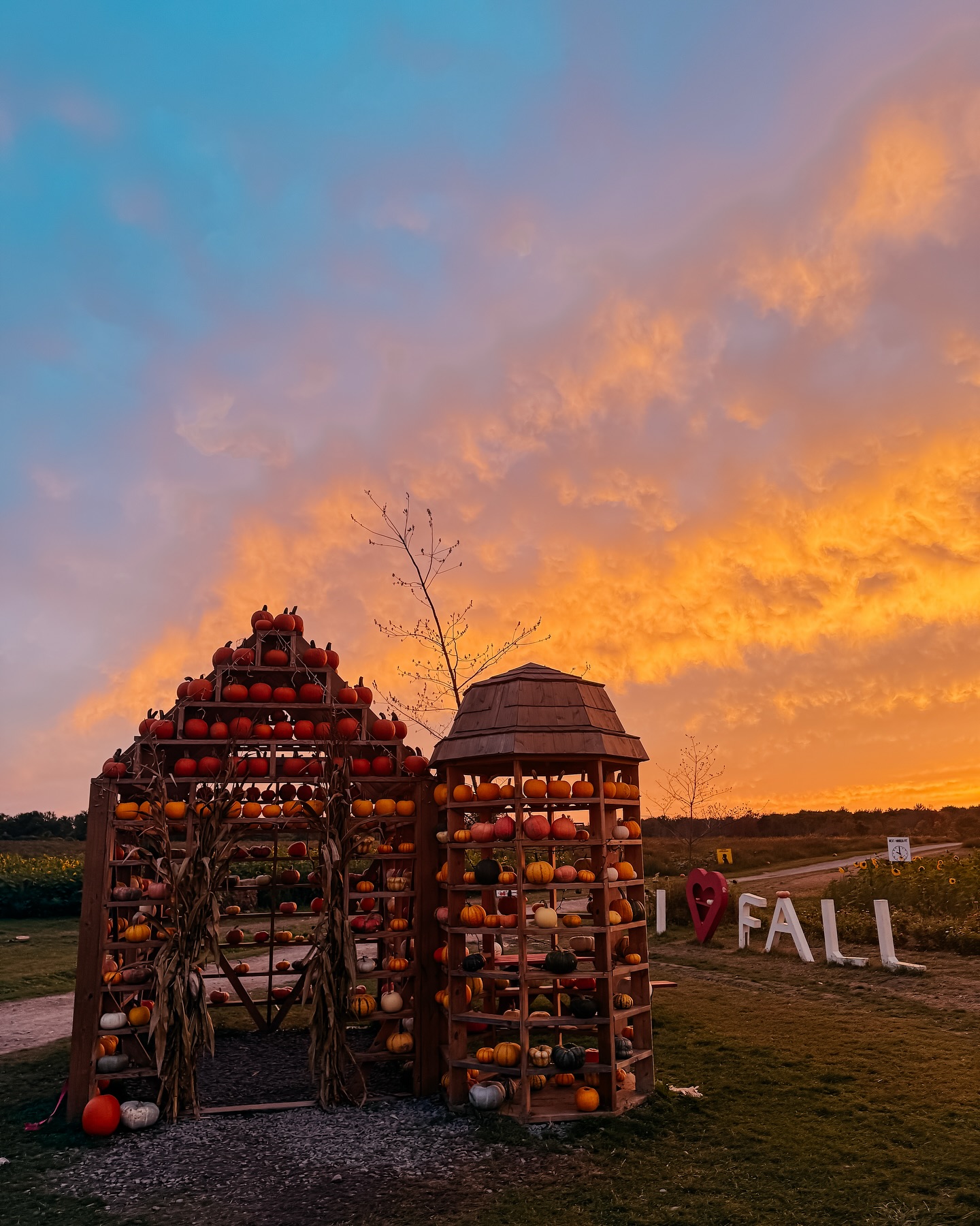 The story behind the pumpkin house... - Tim's Pumpkin Patch | Facebook
