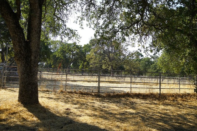 This Property Offers A Rare Reference: Horseman S This 6 Acre Horse Ready Property Offers A