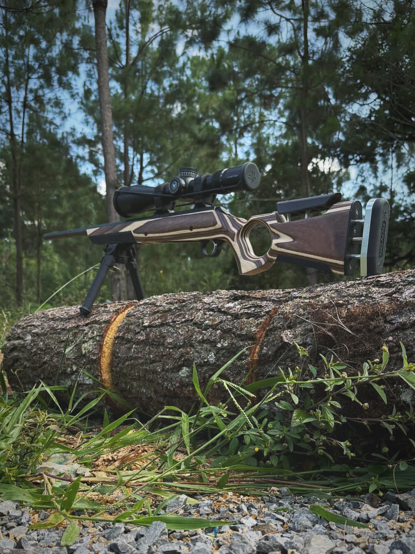 Boyds Hardwood Gunstocks - Are you a rimfire shooter? 