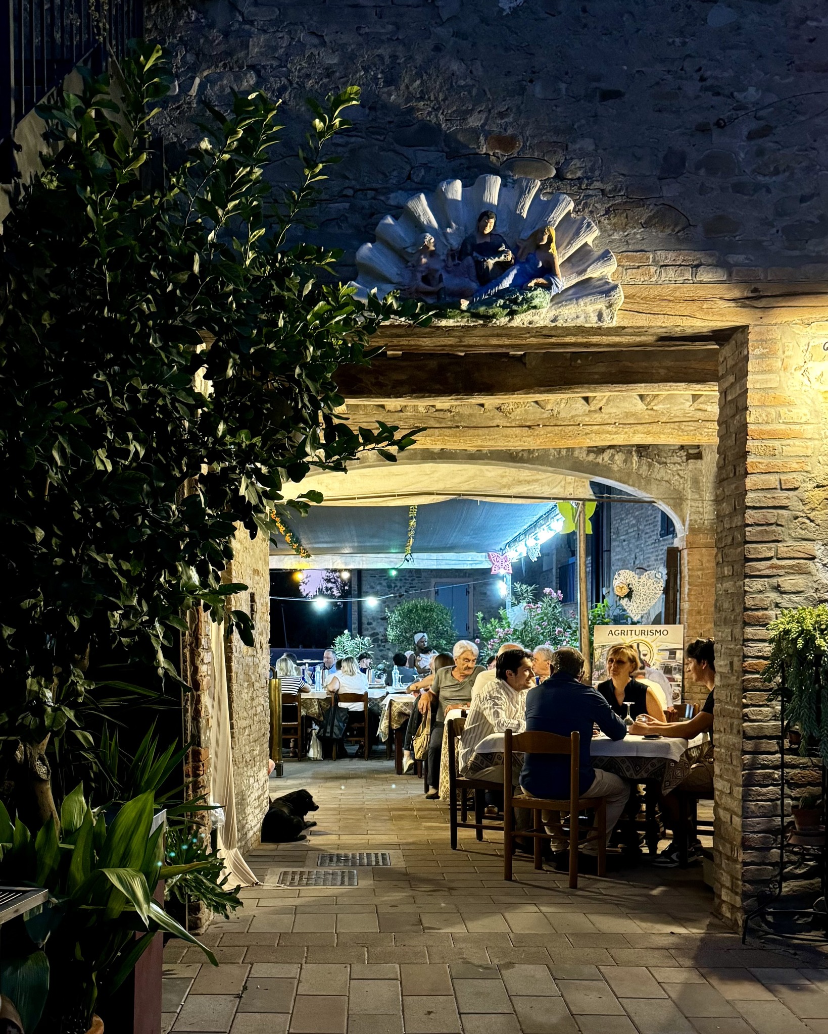 Corte del Sole | Savignano sul Panaro