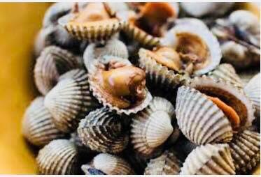 #ภาษาอังกฤษวันละหลายคำกับครูนัท ♦️Cockle (คอค’เคิล) /ˈkɒk(ə)l/ แปลว่า ...
