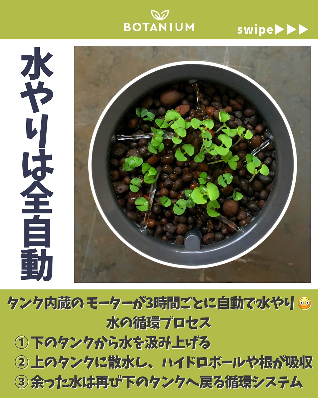 Botanium Japan