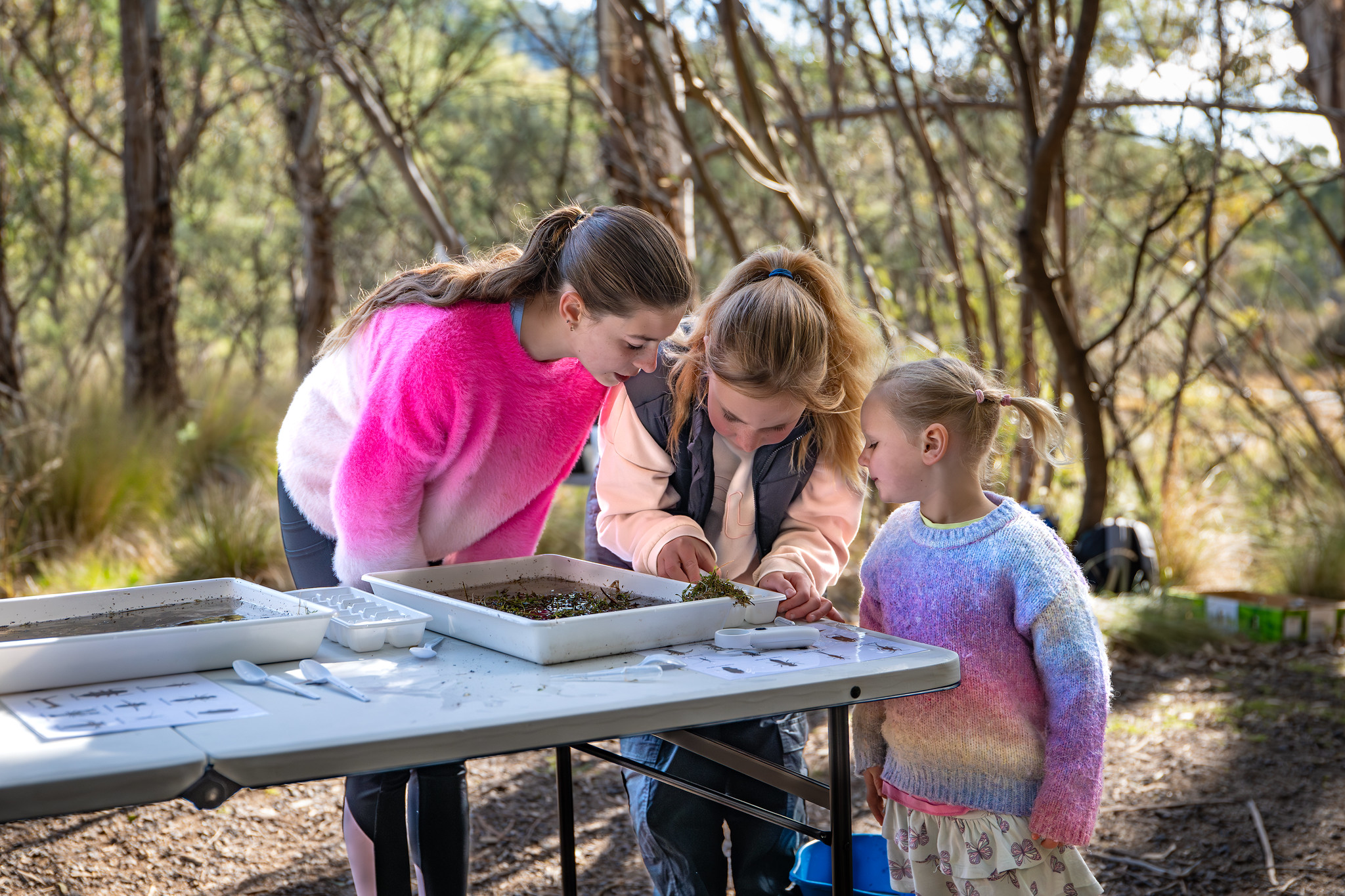 ACT Parks and... - ACT Parks and Conservation Service