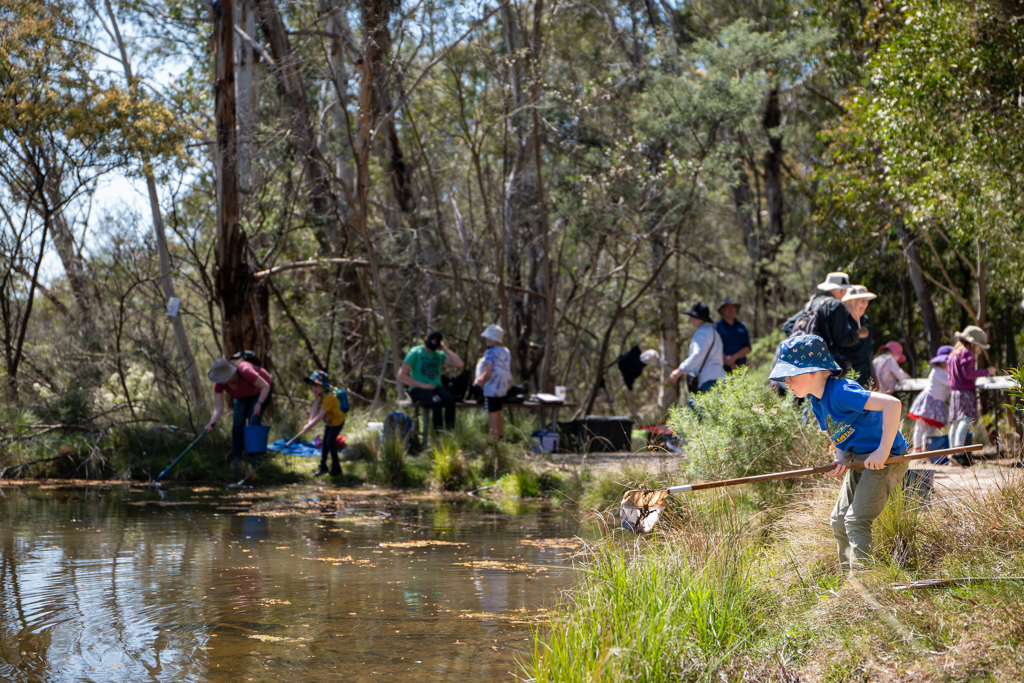 ACT Parks and... - ACT Parks and Conservation Service