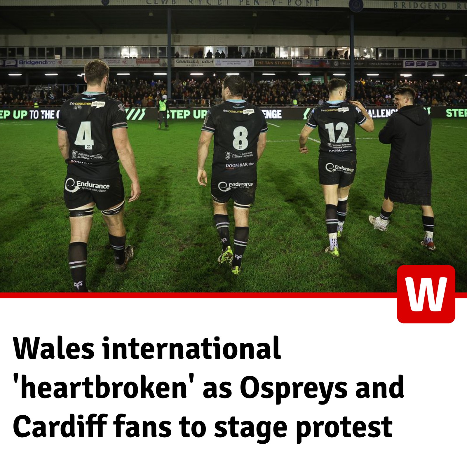 Wales - The fight is on 👀 | Facebook